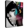 Adobe Creative Suite 6 Design Standard - Windows